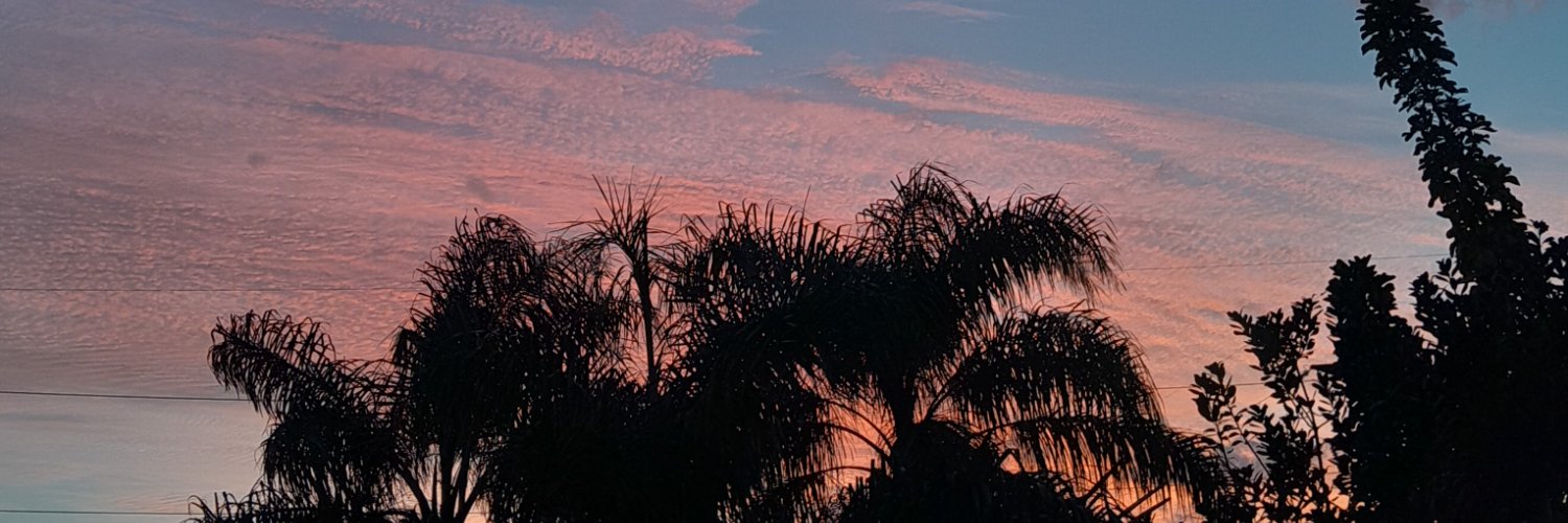 AcAilengisel's profile banner image
