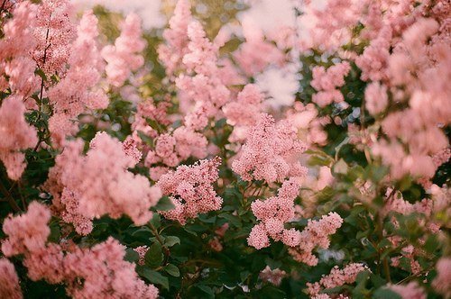 dmitriev_dimka's profile banner image