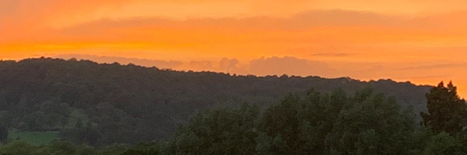 samfennon's profile banner image