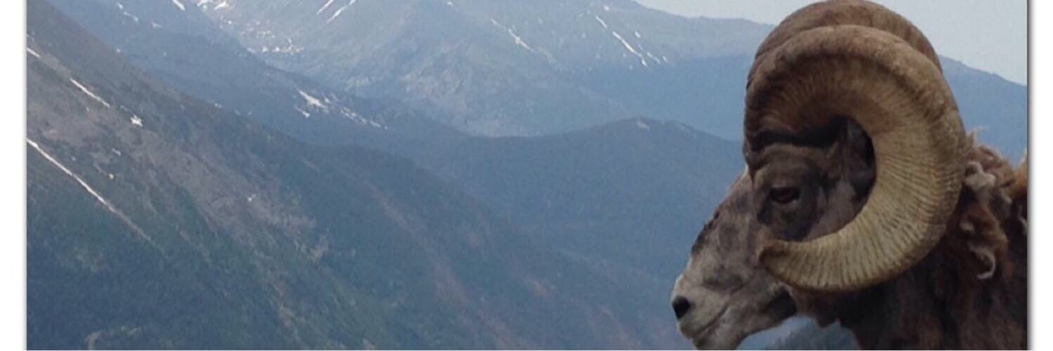 Nick Williams banner