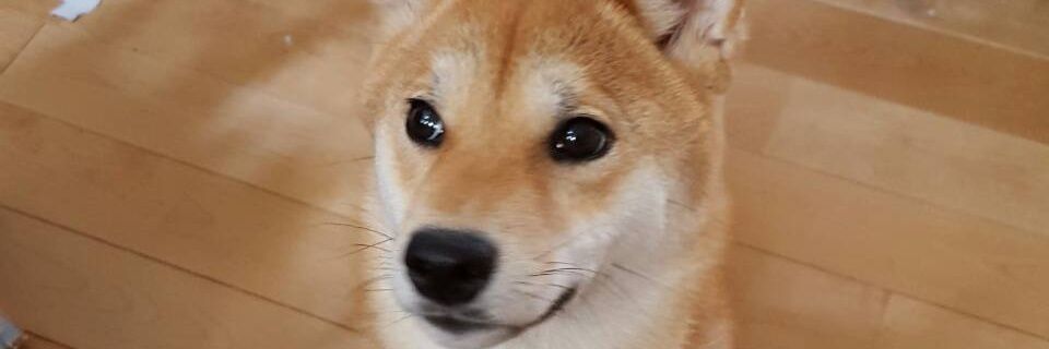 ABlessing77's profile banner image