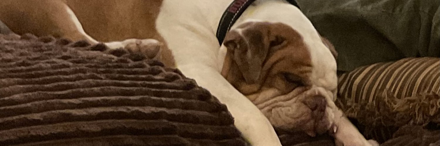 Mamakandace's profile banner image