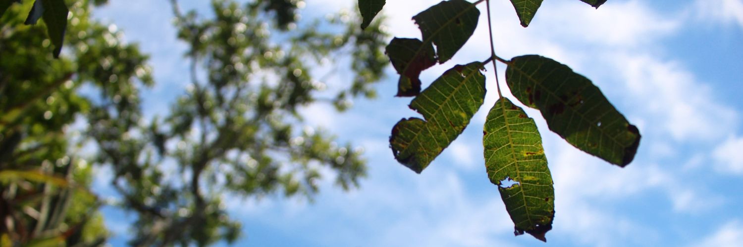 mutuum_'s profile banner image