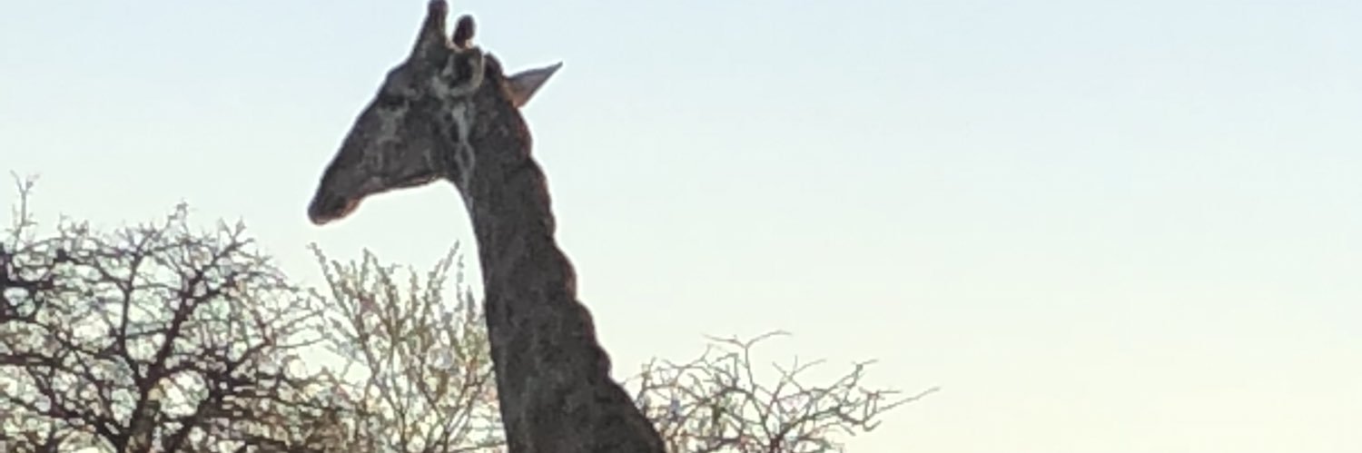 NomaSoftLife's profile banner image