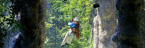 Simplei_Tee Profile Banner