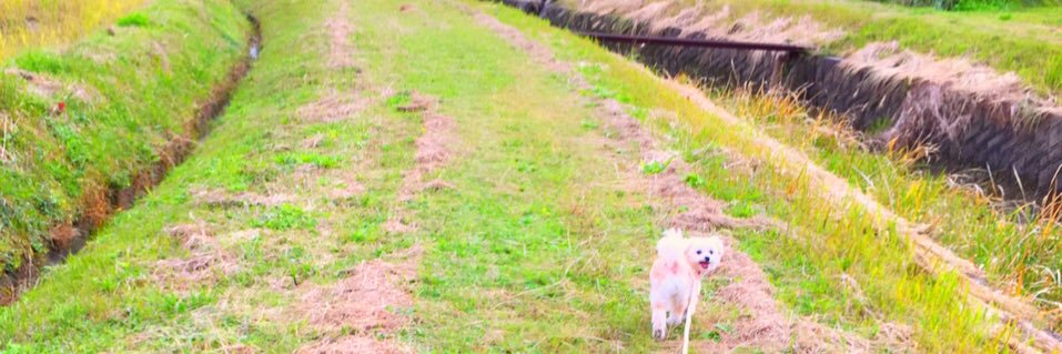 misa_0811's profile banner image