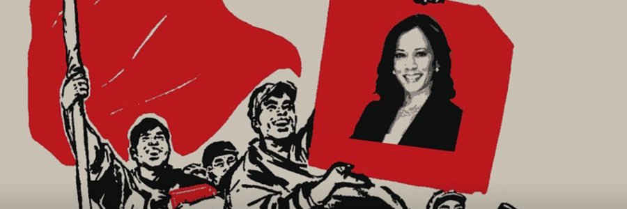 Swoletariat🥥🌴💊 banner