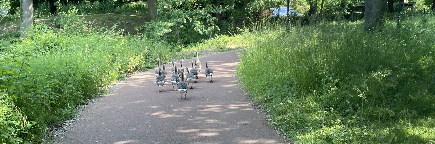 Merlijn 默林素食者 banner