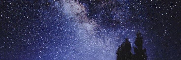 xSelectionerx's profile banner image