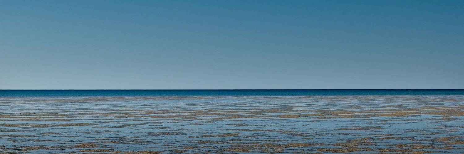 snicolasuy's profile banner image