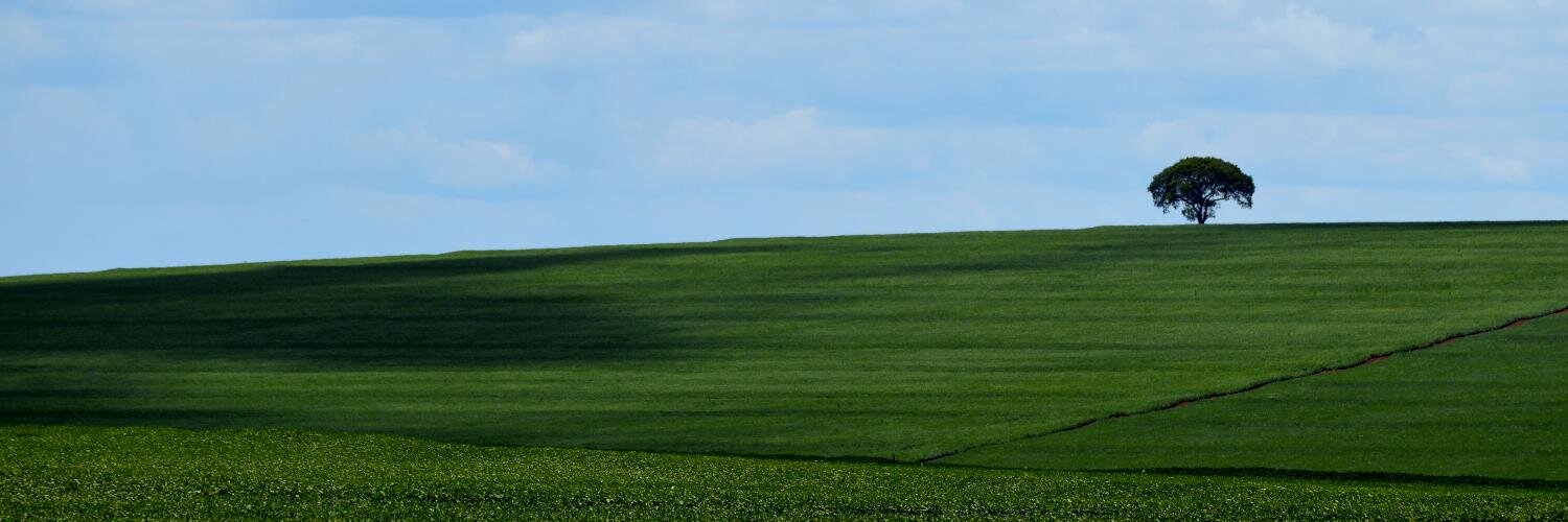 Primoarneiro's profile banner image