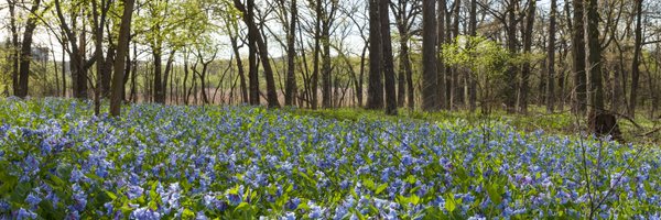 dupageforest Profile Banner