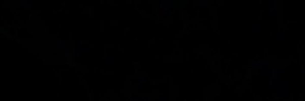 tywildx Profile Banner
