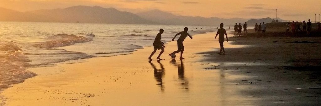 Carlos F. Lobo Protti banner