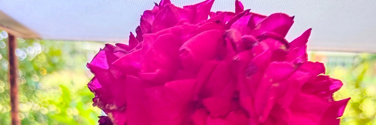 MecsFaye's profile banner image
