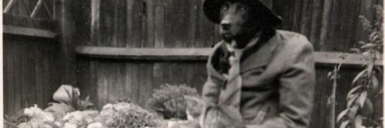 GregRyanSmith's profile banner image