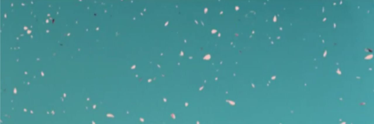 stillbtflthings's profile banner image
