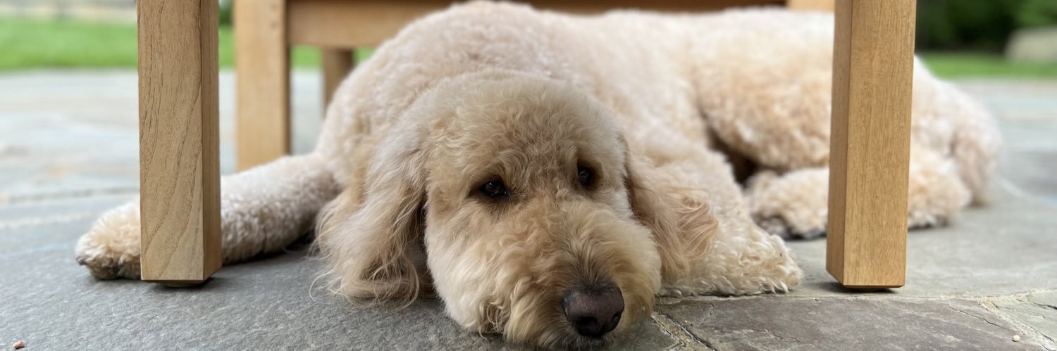 Andrew Corapi banner