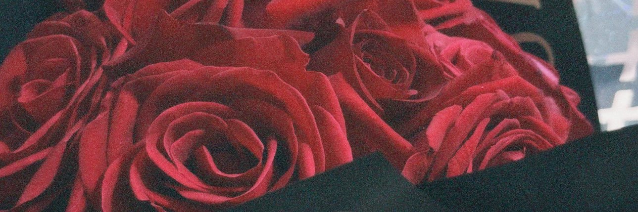carolinaborjah's profile banner image