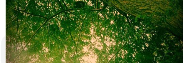 kyles_kk's profile banner image