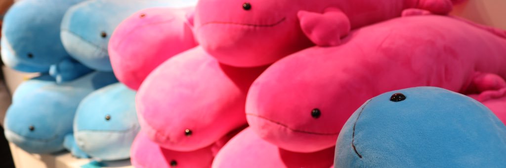 waniko269's profile banner image