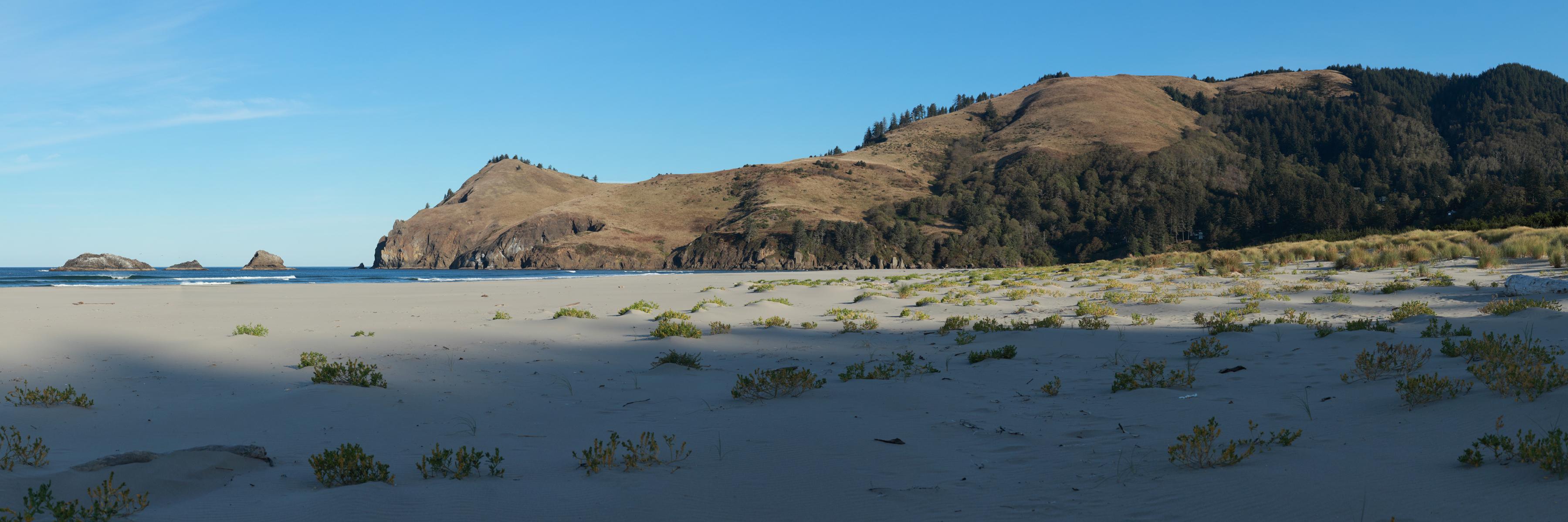 William Aegerter @waege@xoxo.zone banner