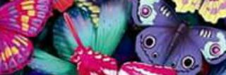 azul2015arce's profile banner image