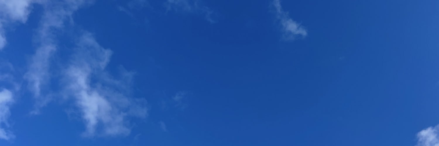 Lena Leigert banner