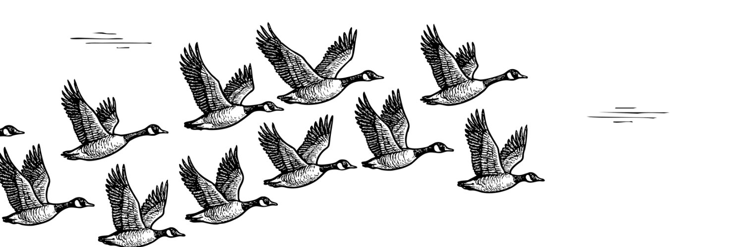 benjaminwaldman's profile banner image