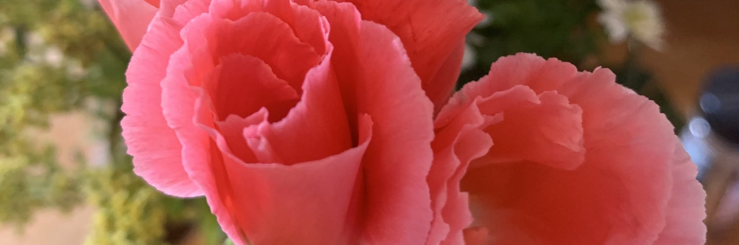 Western70122's profile banner image
