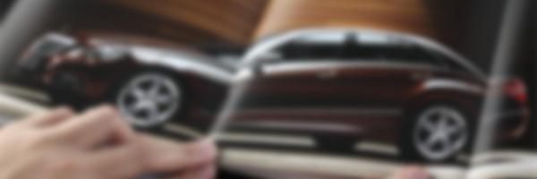 steskey Profile Banner