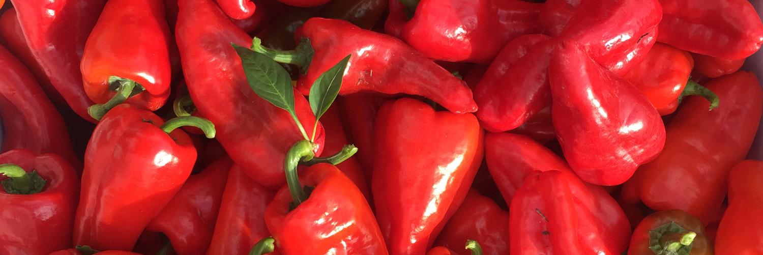 chilipowders's profile banner image