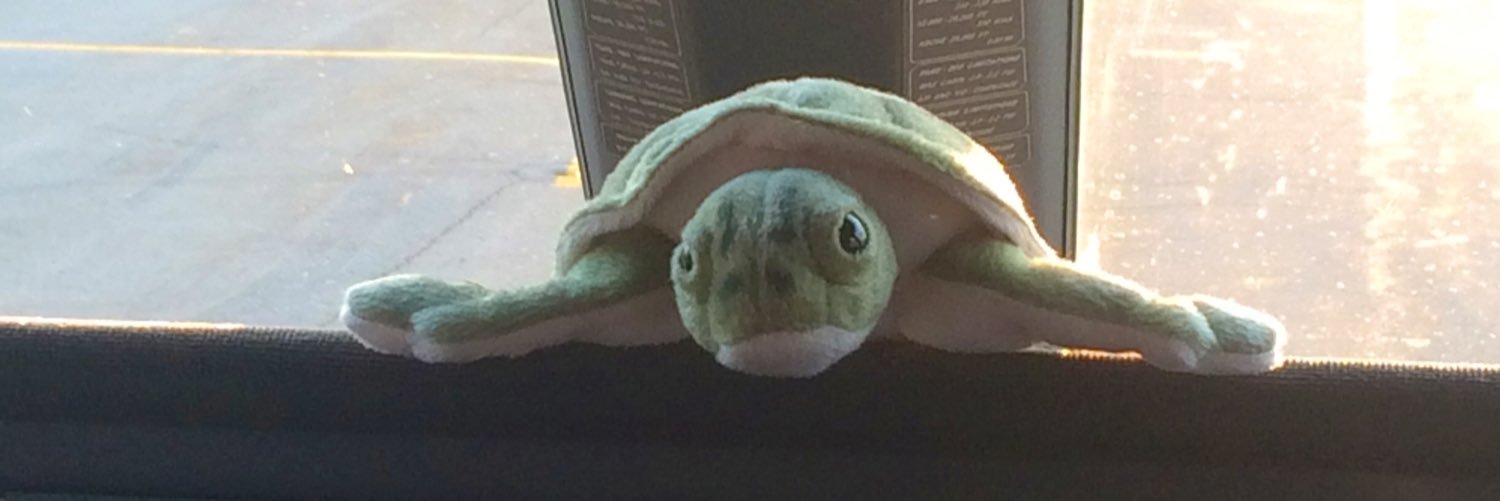 SeStokes's profile banner image