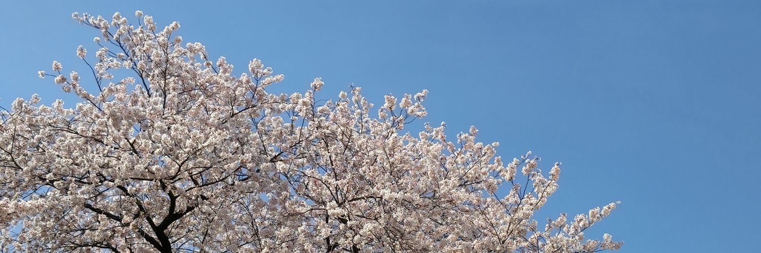AkitKt88's profile banner image