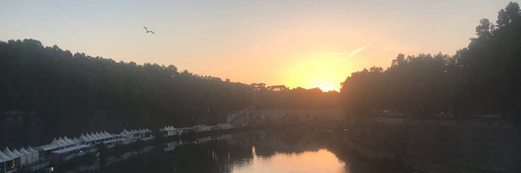 MikeConnor4's profile banner image