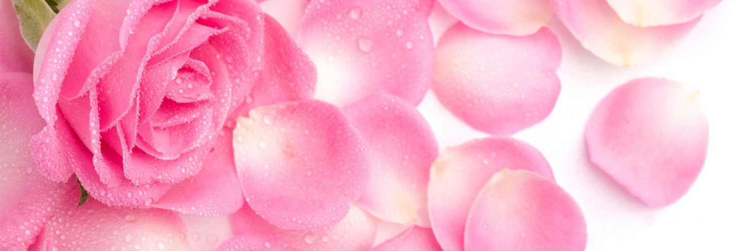rosenote1's profile banner image