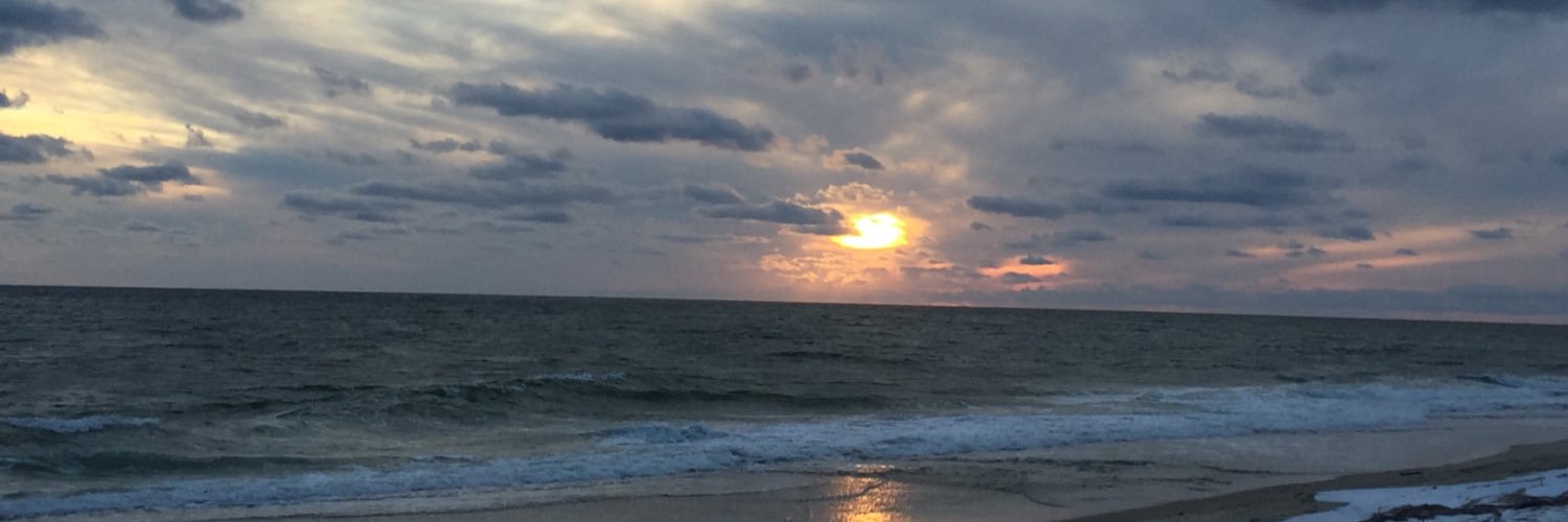 saraboyce's profile banner image