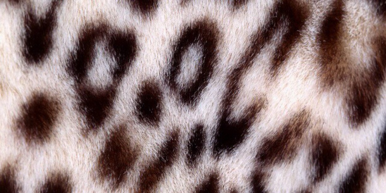 allieaday's profile banner image