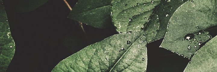 pandrew201's profile banner image