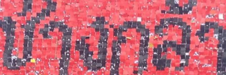 POMpuriye🔞 banner