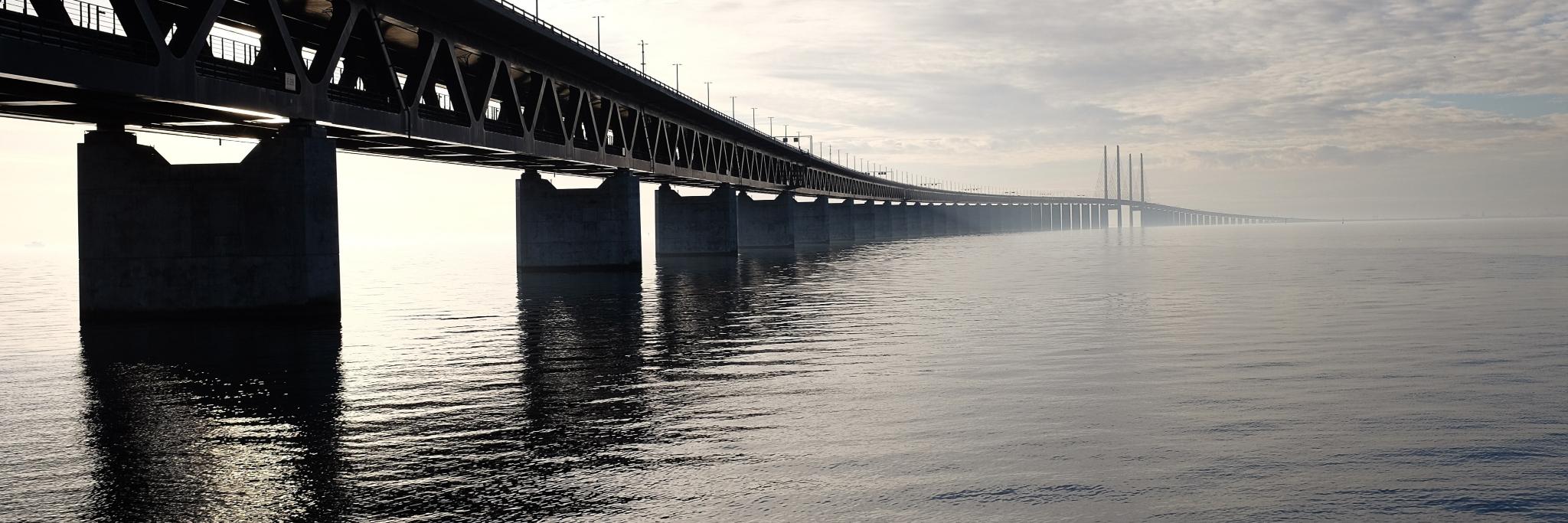 Dennis Williams banner