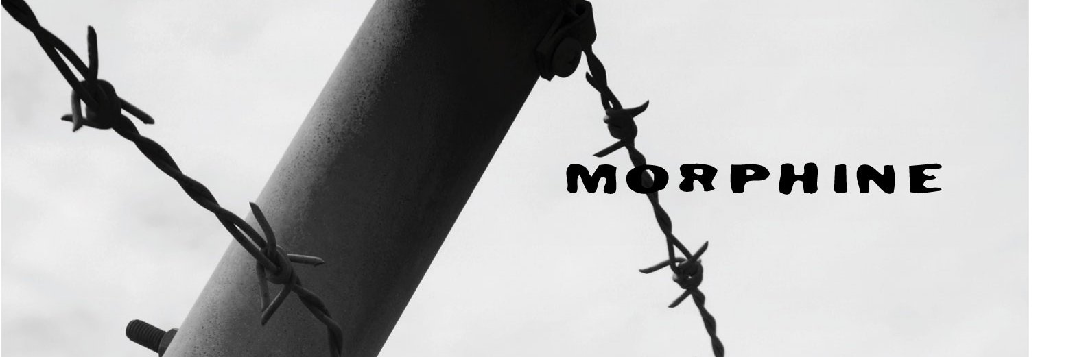 MORPHINE_IWASE's profile banner image