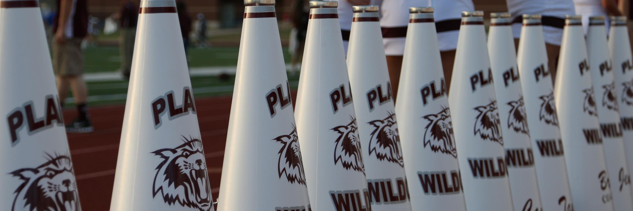 PSHS Cheer banner