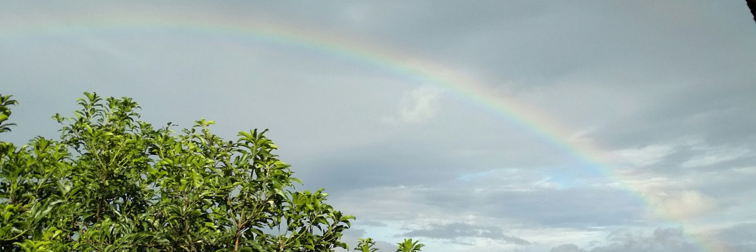 Farawwh's profile banner image