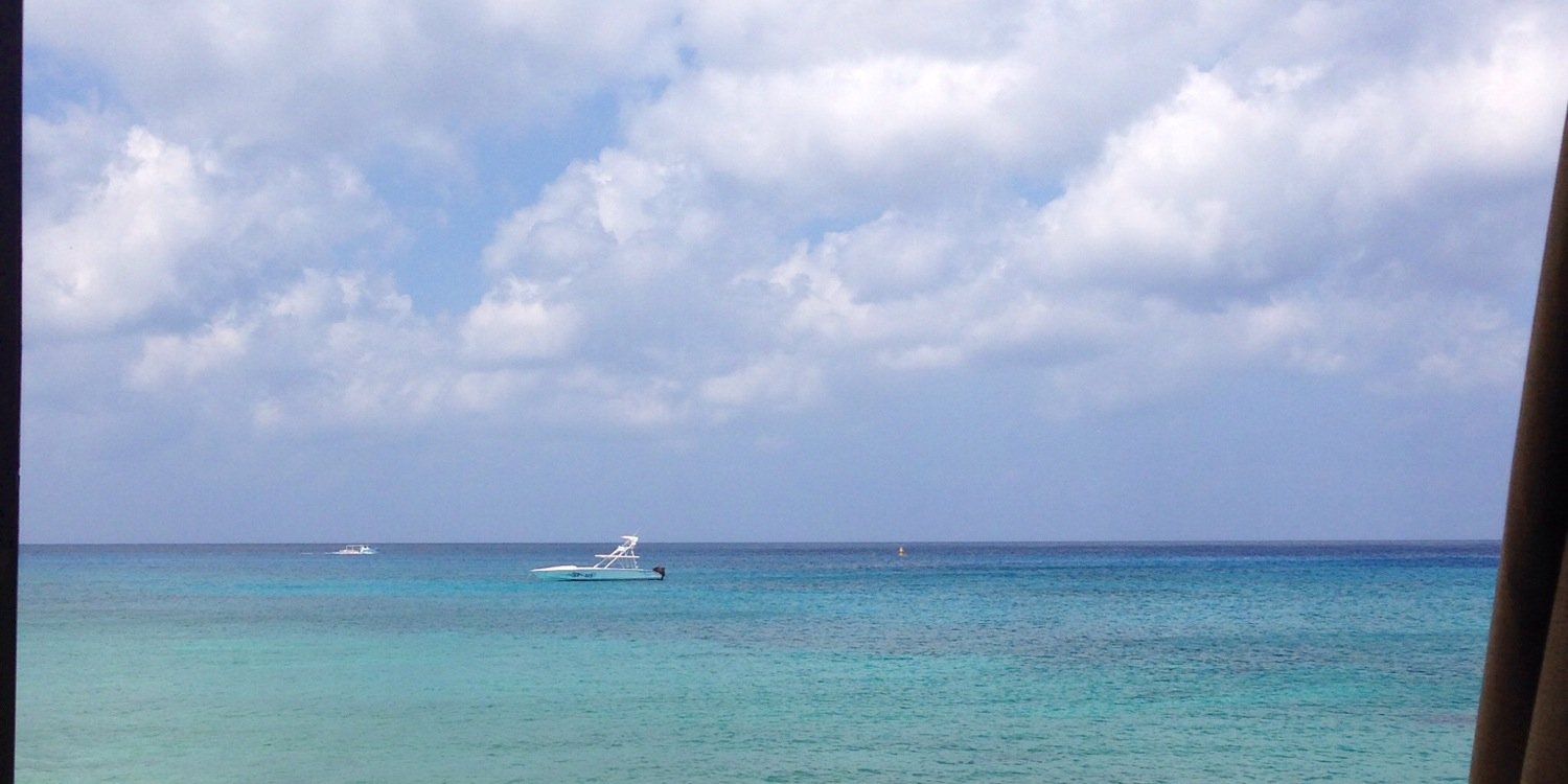 Rachel Hooker banner