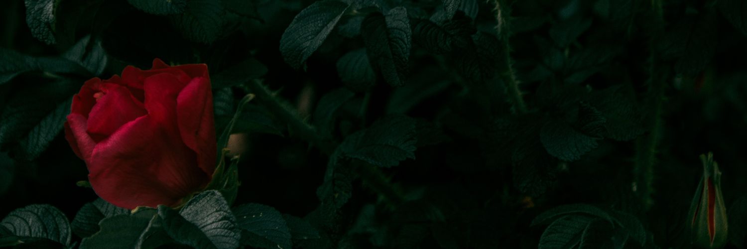 Jack4649jack's profile banner image