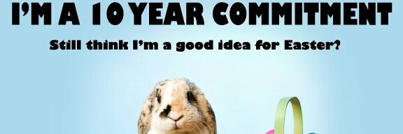 Camdyn George banner