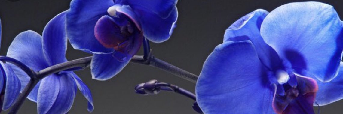 SabrinaT002's profile banner image