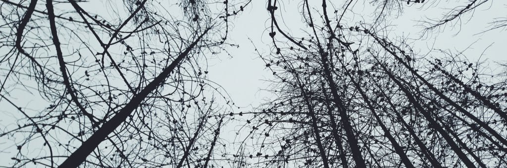 Gato_rc's profile banner image