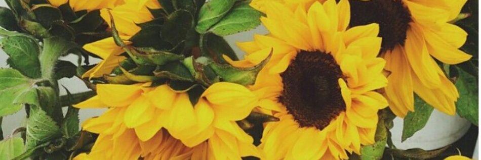 holagabyyy's profile banner image